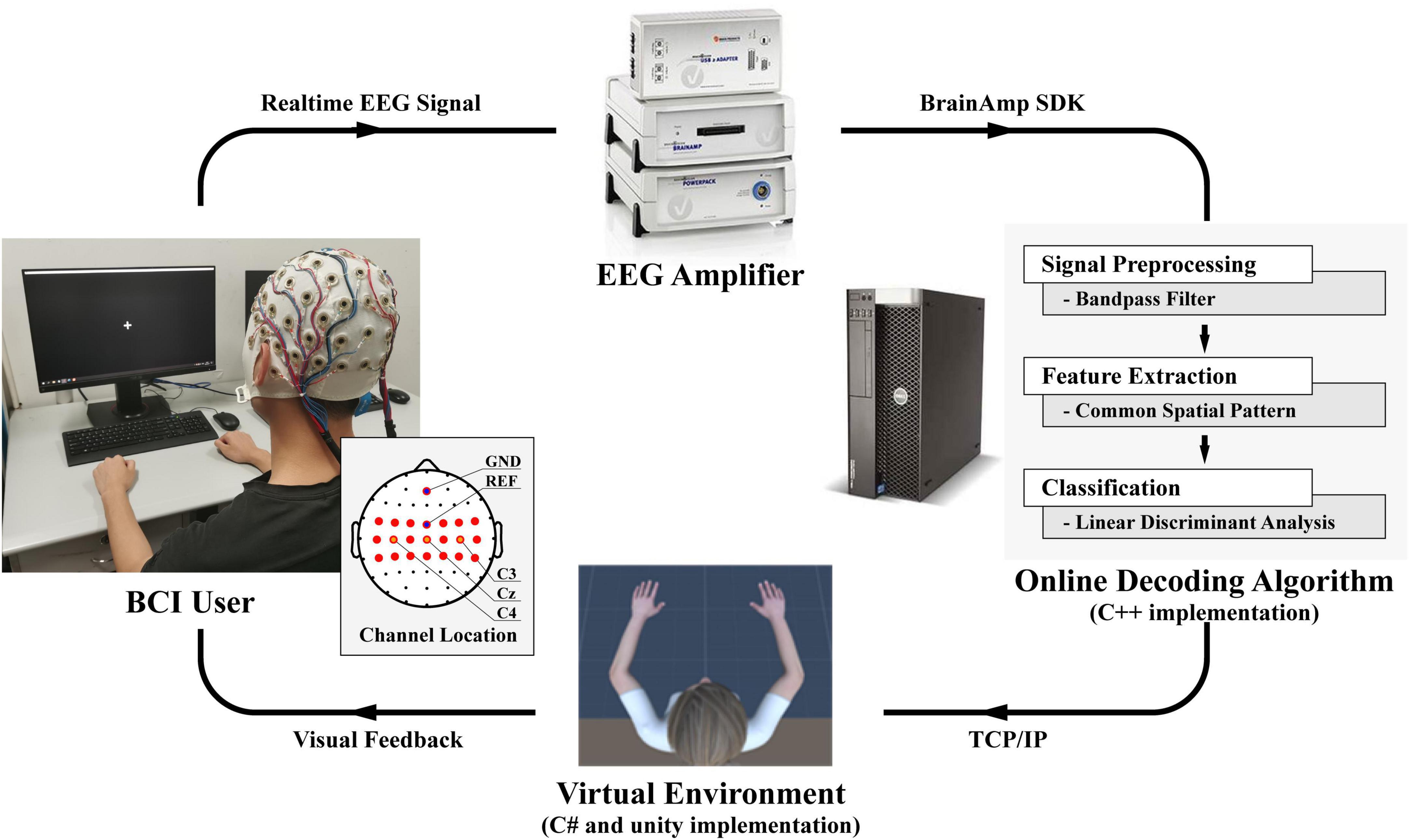 Discrepancy between inter- and intra-subject variability in EEG-based motor imagery brain-computer interface: Evidence from multiple perspectives